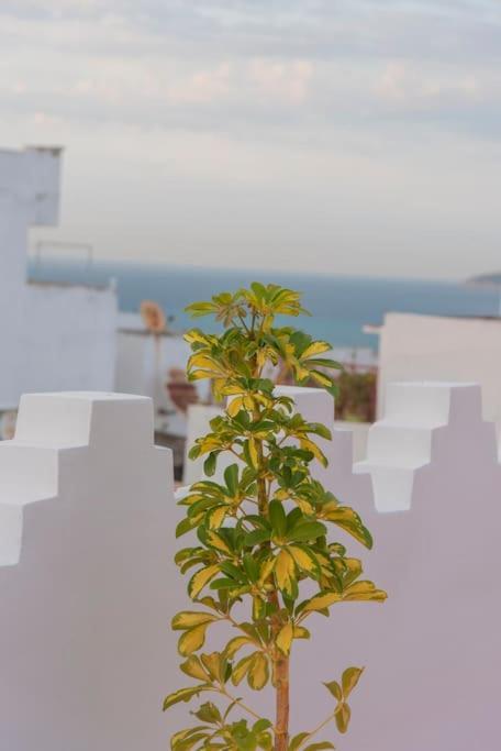 Apartmán Dar Louban House In Tangier Kasbah Exteriér fotografie